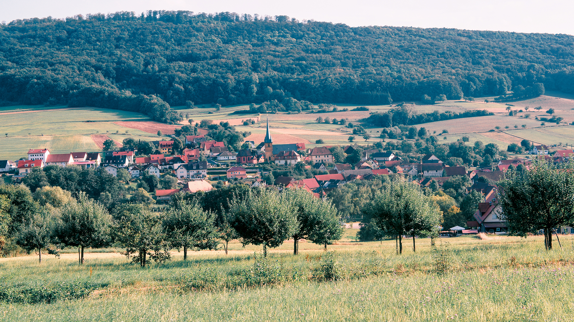 Thirteen Breweries Hike Bamberg by Dan Cole