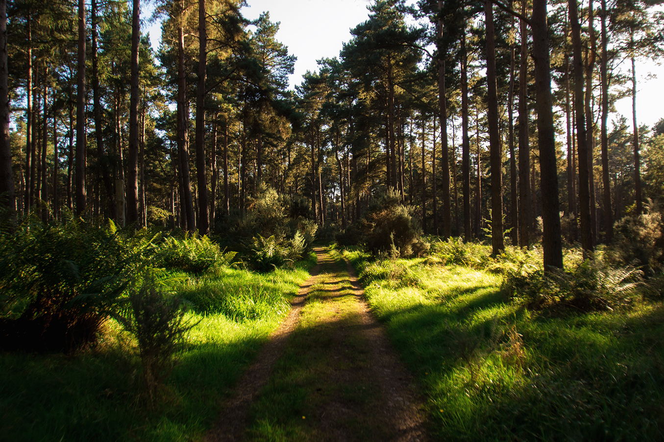 Hiking the Speyside Way in Scotland by Yvonne Hartmann