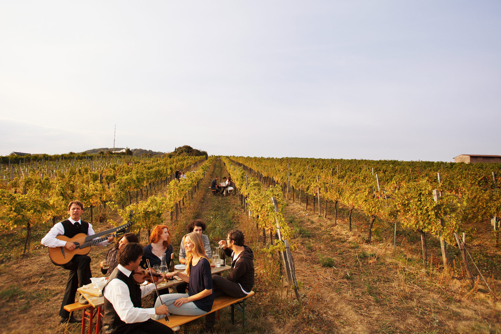 The Hidden Vineyards of Vienna Hiking & Drinking