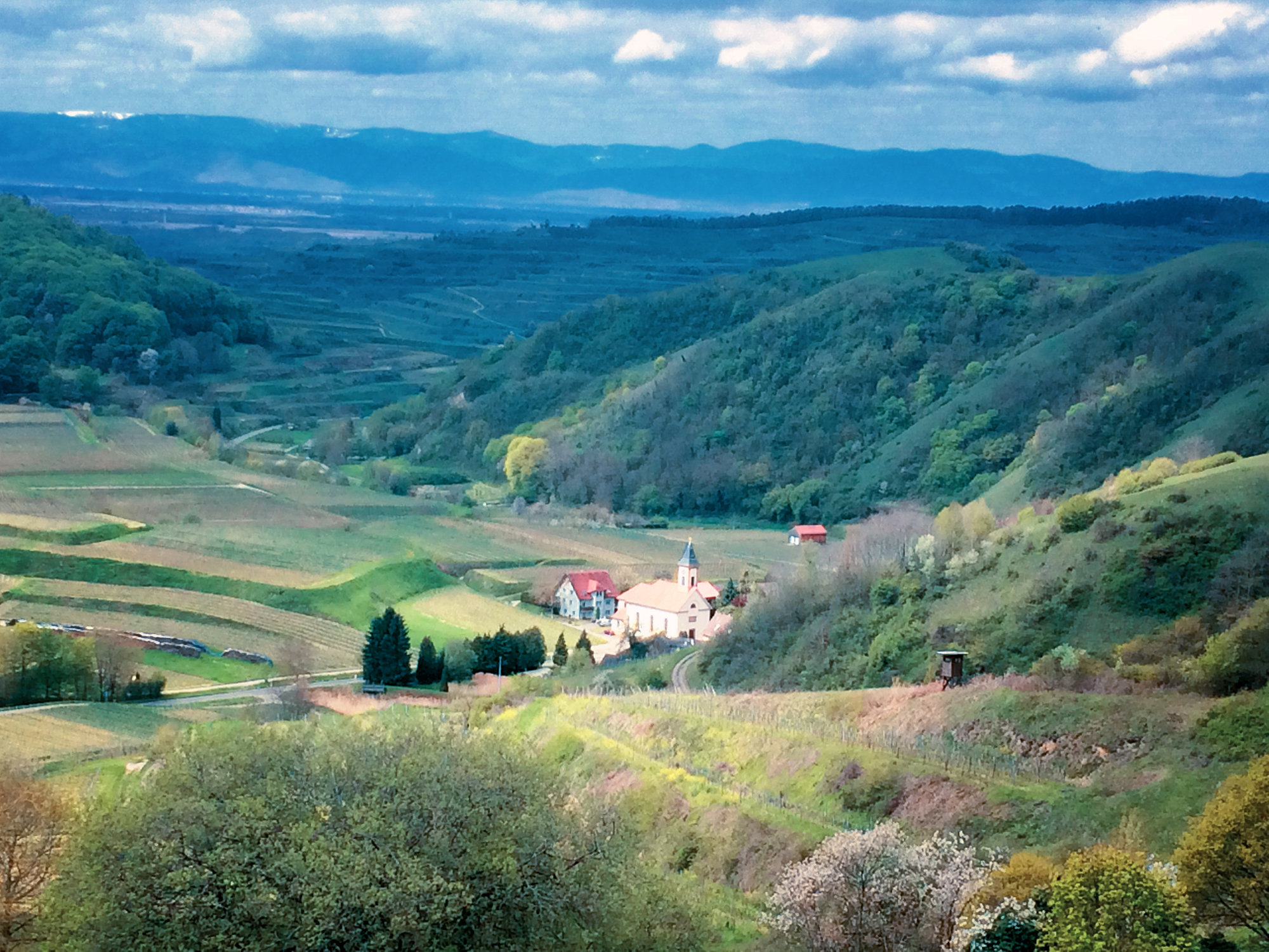 Hiking and Drinking - Kaiserstuhl by Dan Cole Hiking and Drinking - Kaiserstuhl by Dan Cole