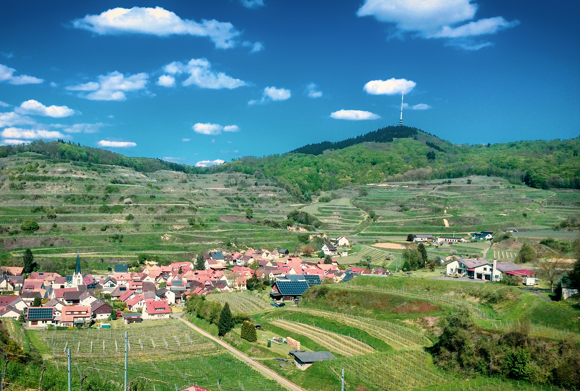 Hiking and Drinking - Kaiserstuhl by Dan Cole