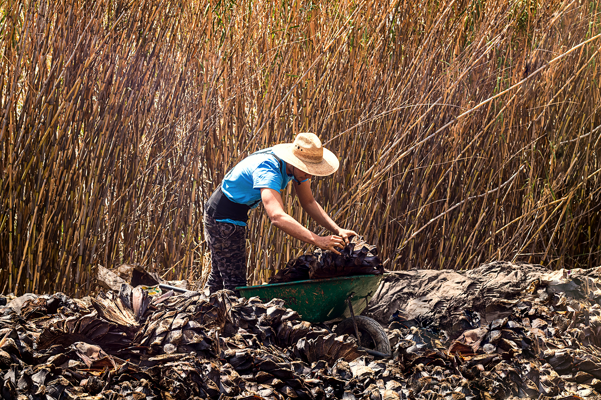Hiking and Drinking - Mezcal Production (Oaxaca, Mexico) by Yvonne Hartmann