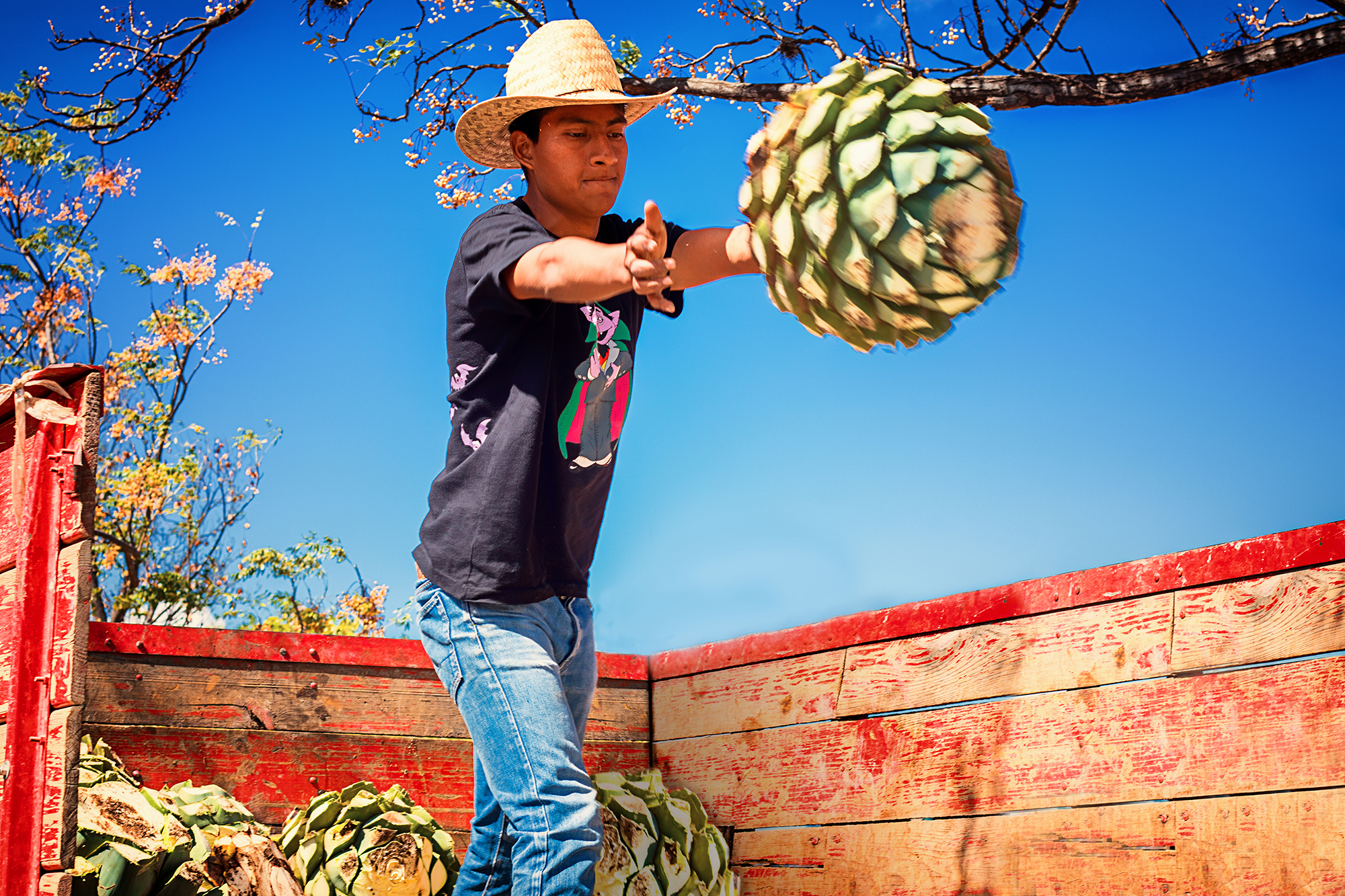 Hiking and Drinking - Mezcal Production (Oaxaca, Mexico) by Yvonne Hartmann