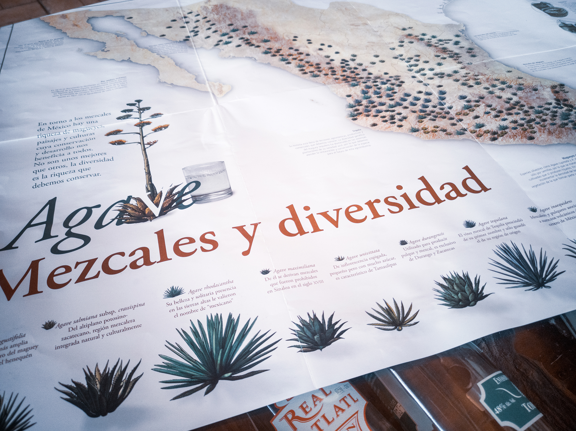 The Mezcal Road - Hiking & Drinking