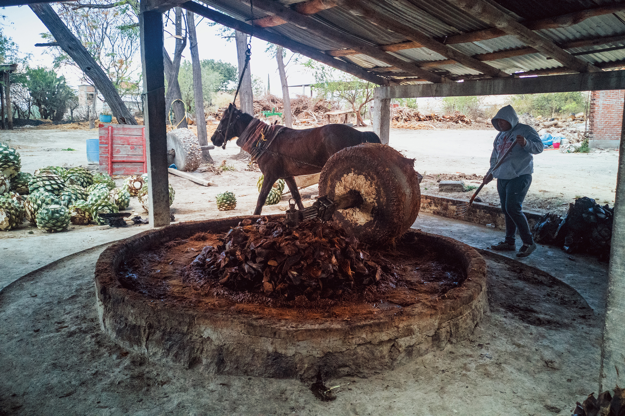 Hiking and Drinking - Mezcal Production (Oaxaca, Mexico) by Yvonne Hartmann
