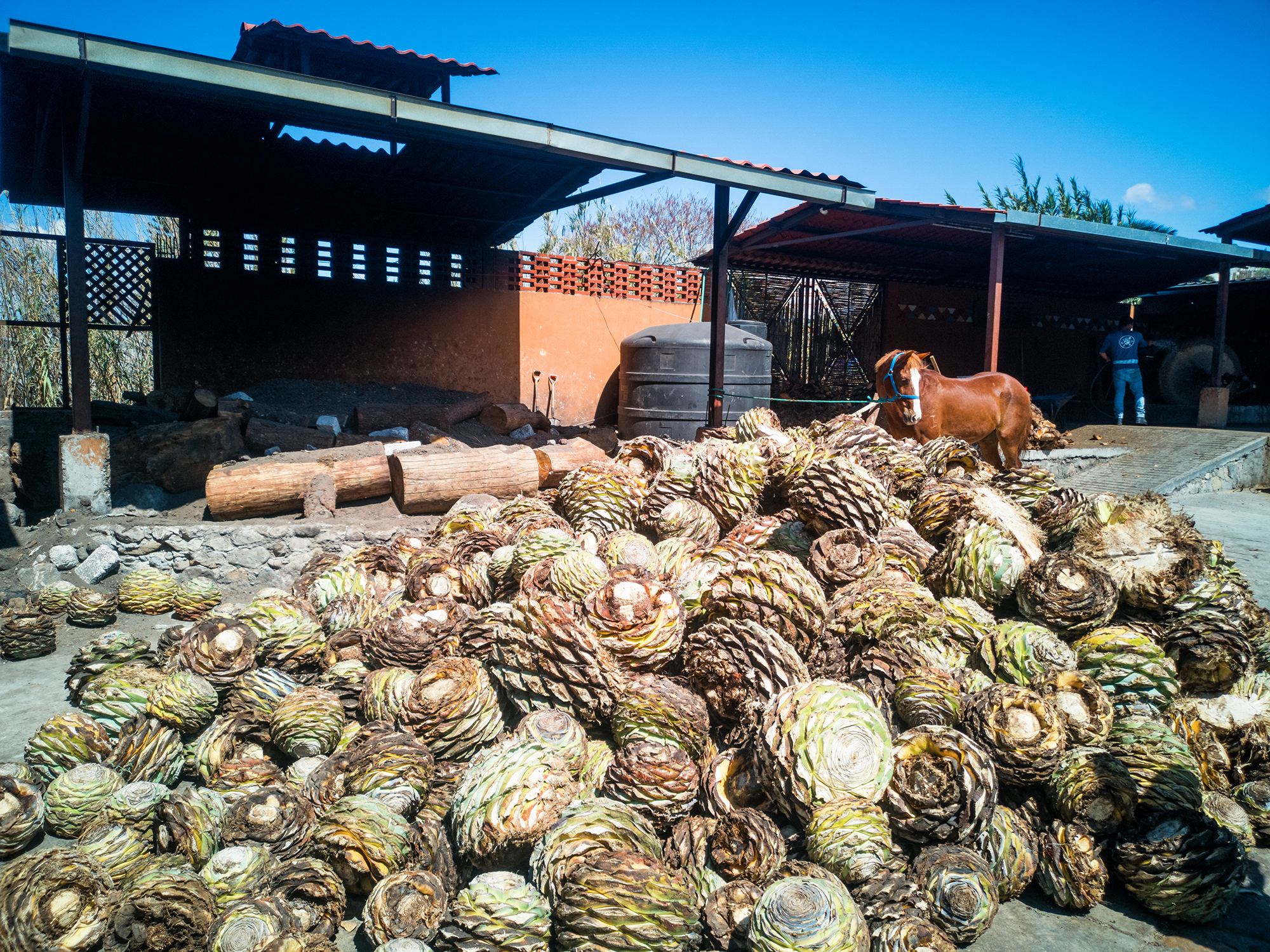 Hiking and Drinking - Mezcal Production (Oaxaca, Mexico) by Yvonne Hartmann