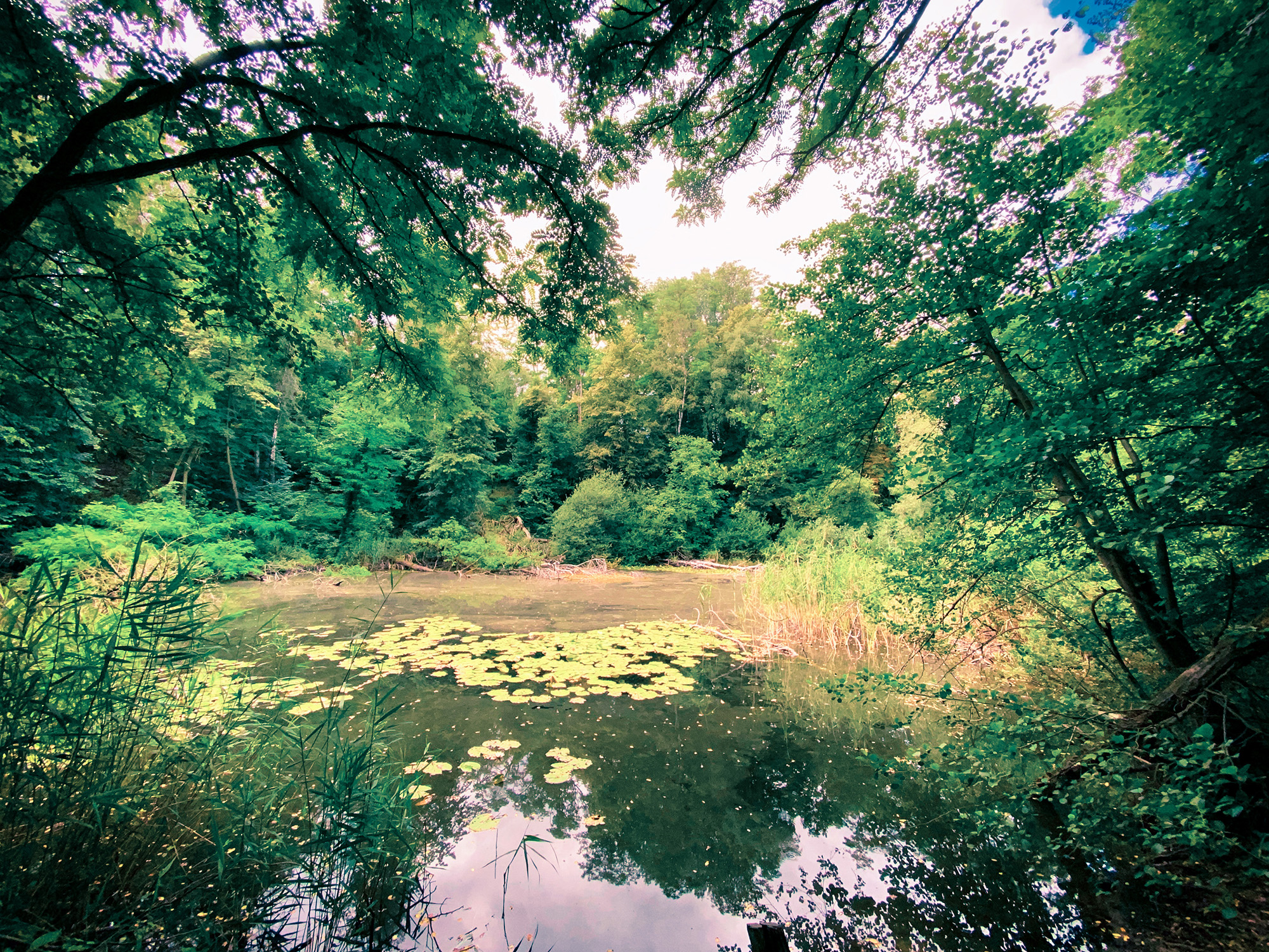 Hiking and Drinking - Panoramaweg Havel Obstland by Yvonne Hartmann