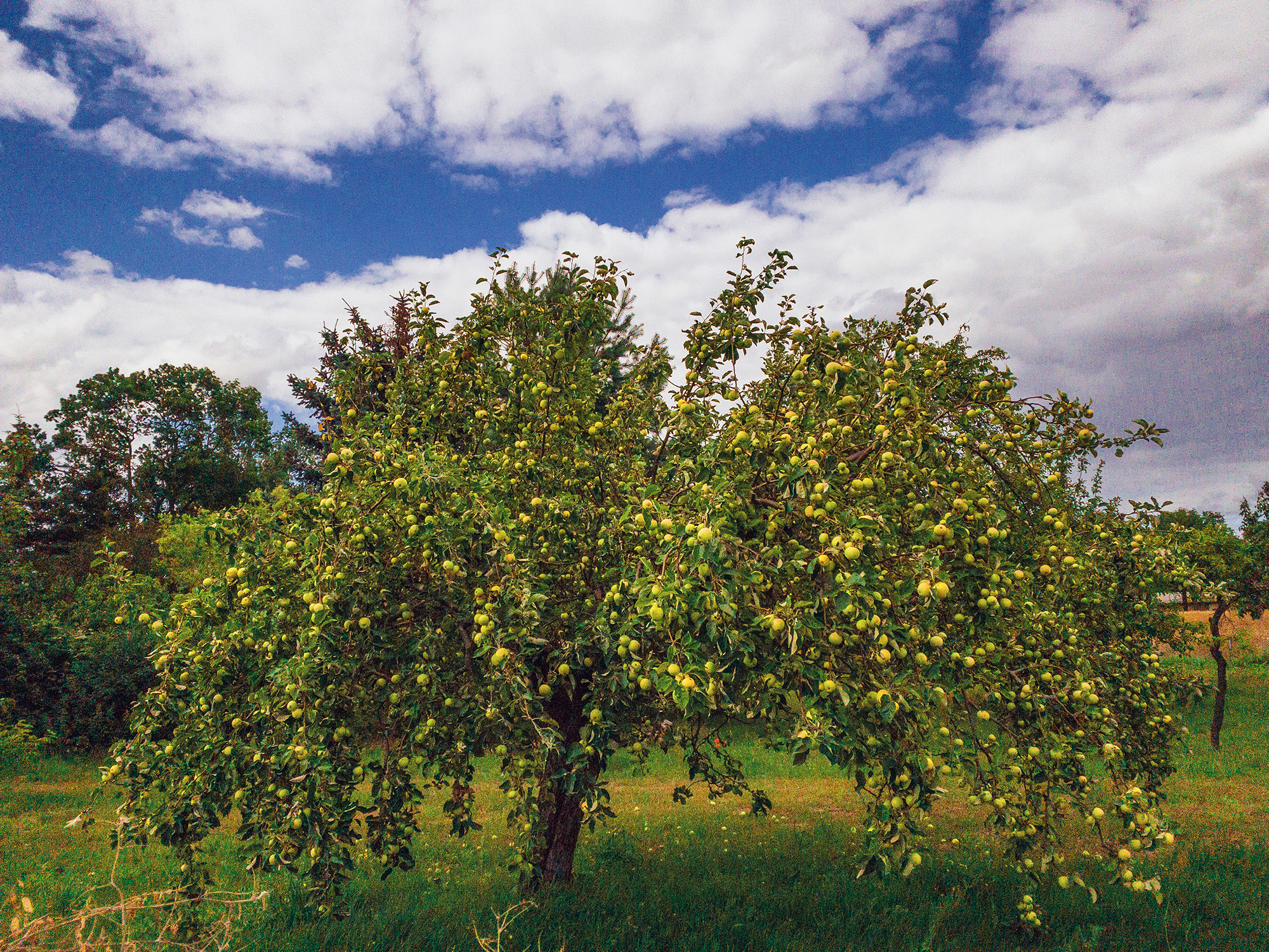 Hiking and Drinking - Panoramaweg Havel Obstland by Yvonne Hartmann