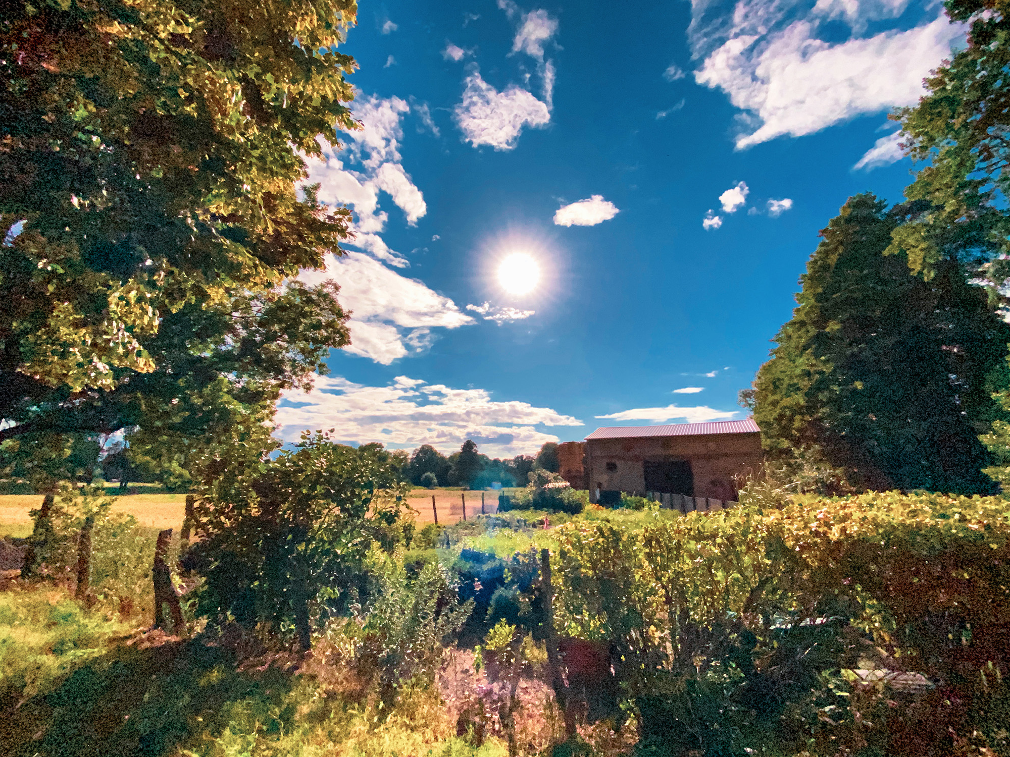 Hiking and Drinking - Panoramaweg Havel Obstland by Yvonne Hartmann