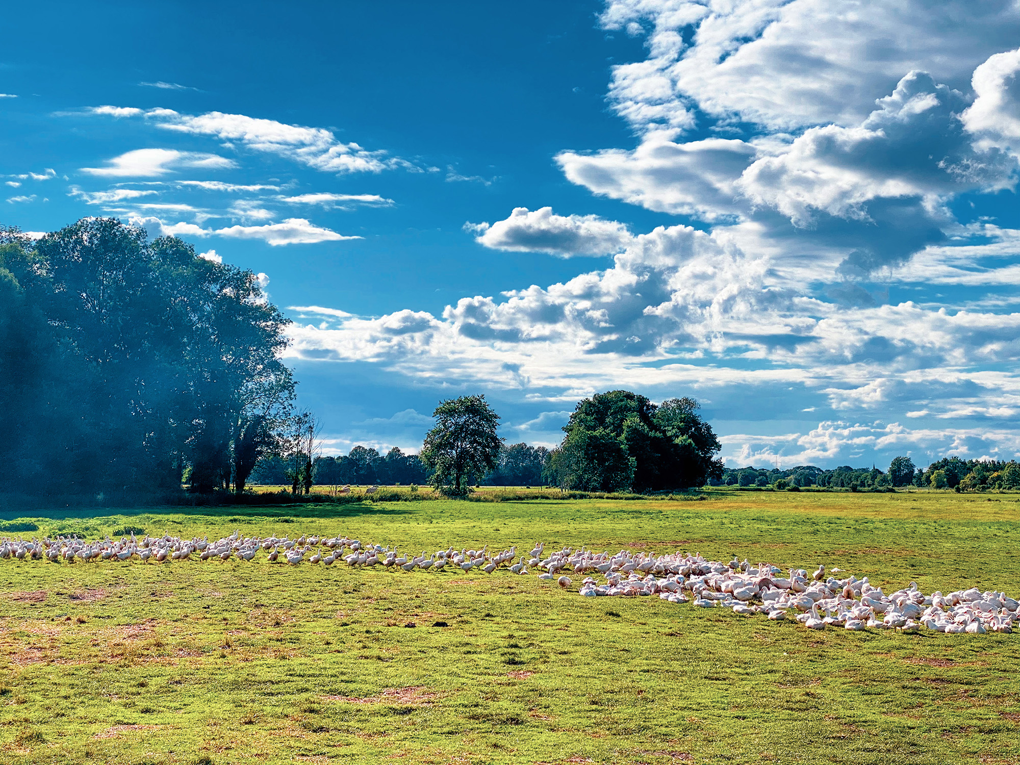 Hiking and Drinking - Panoramaweg Havel Obstland by Yvonne Hartmann