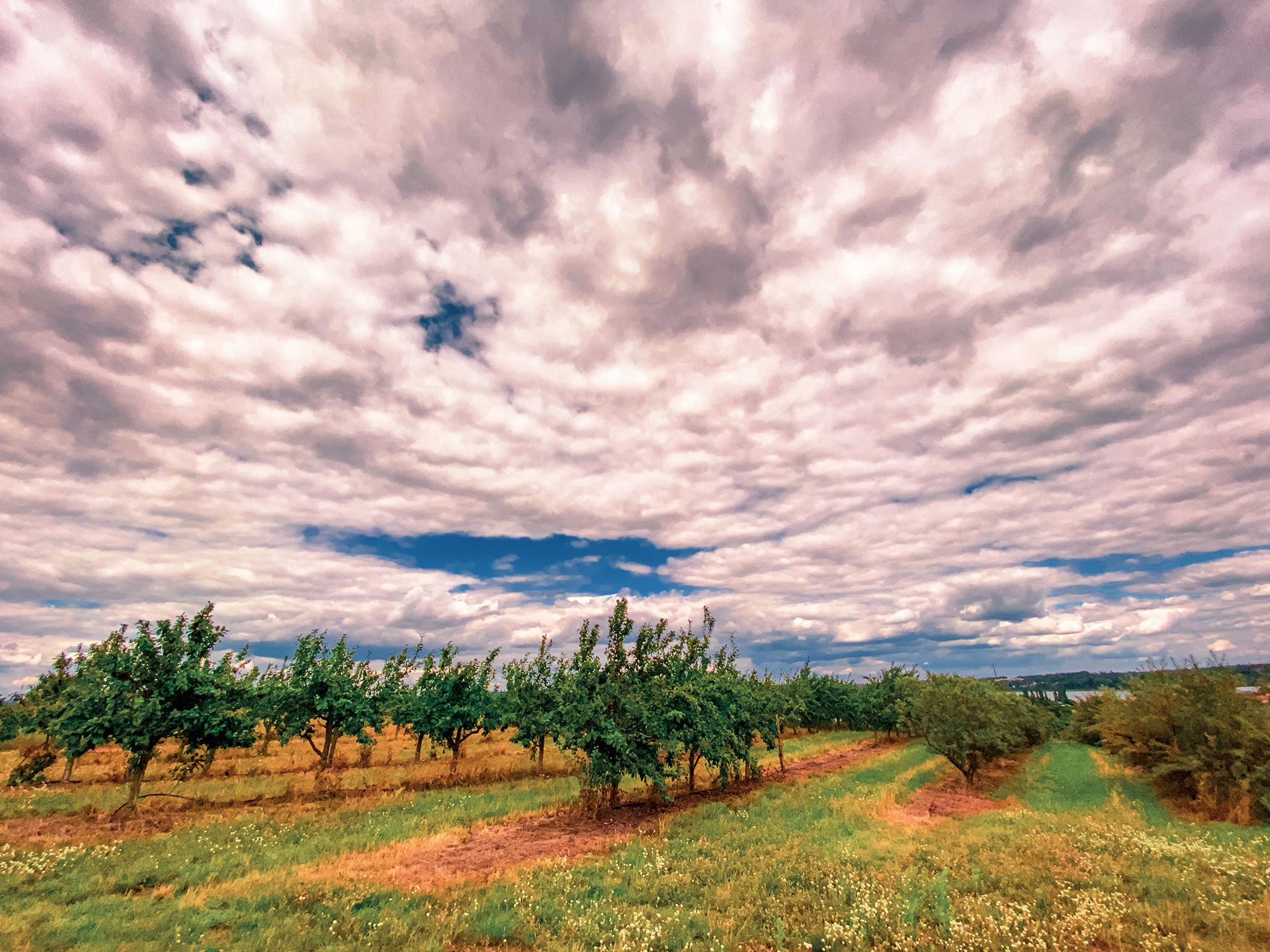 Hiking and Drinking - Panoramaweg Havel Obstland by Yvonne Hartmann