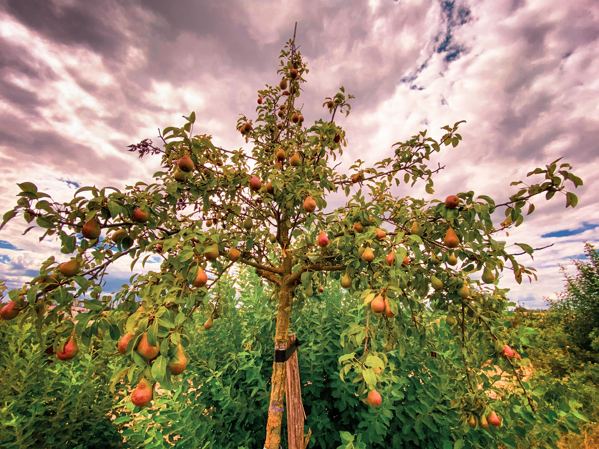 Hiking and Drinking - Panoramaweg Havel Obstland by Yvonne Hartmann