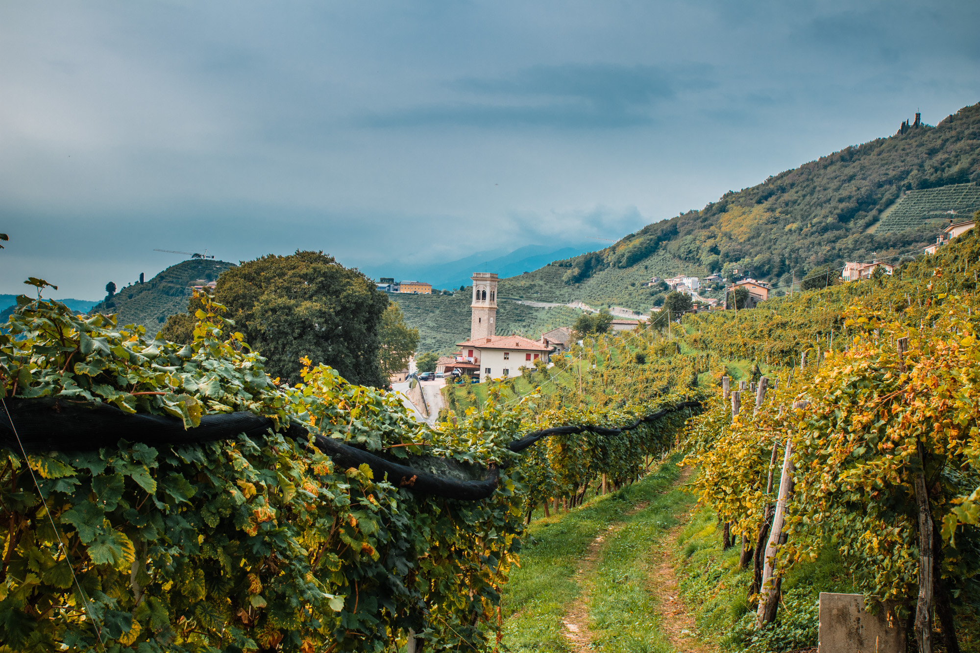 trek travel prosecco